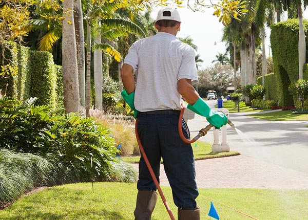 About Lemont IL Pest Control